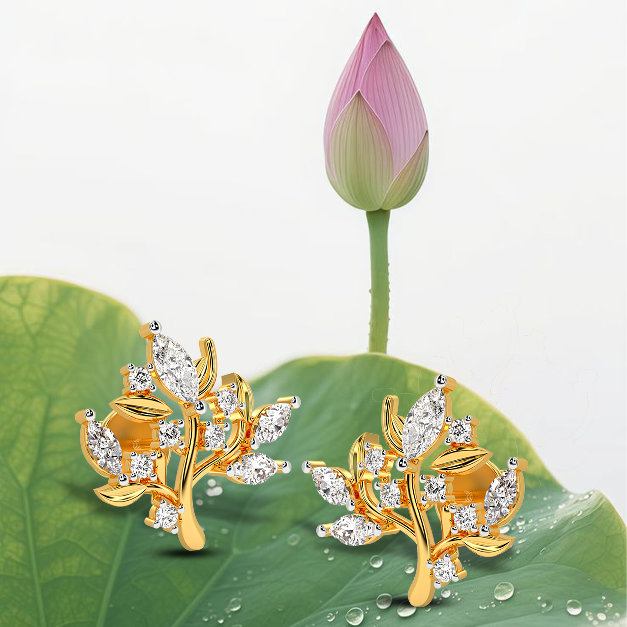 arbor-vitae-brilliance