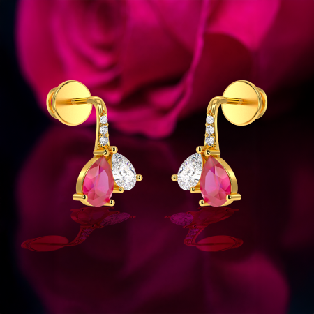 Dual drop earring